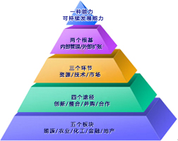 世界杯官方指定合作网站发展战略