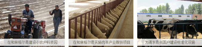 发展农牧业
