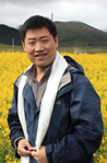 杨宏