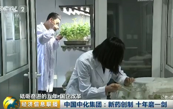 世界杯官方指定合作网站：新药创制 十年磨一剑